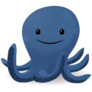 Blue Octopus Logo