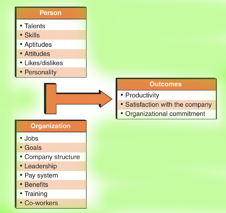 Organizational fit model