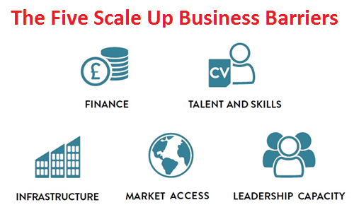 Scale Up Business Barriers